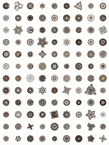 Sand.Dollars | by jared