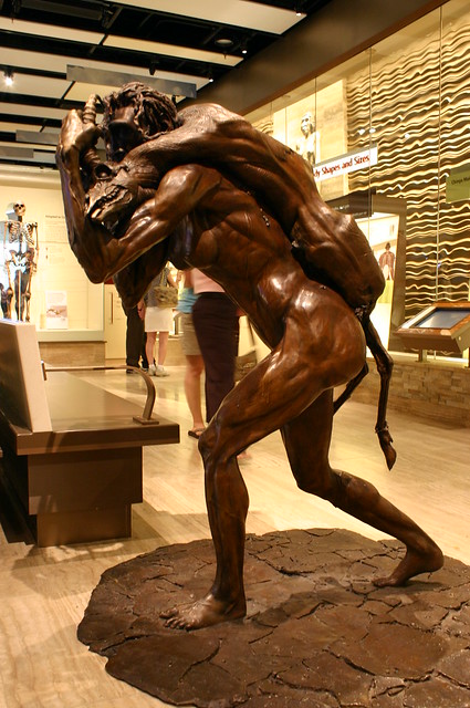 Homo erectus
