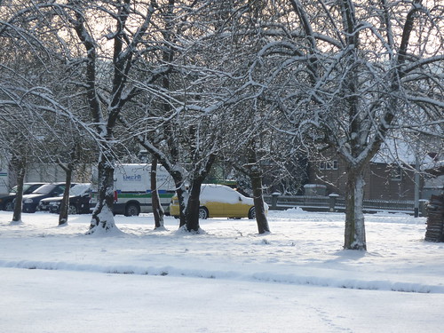 2010-01-05 Winter in EHO