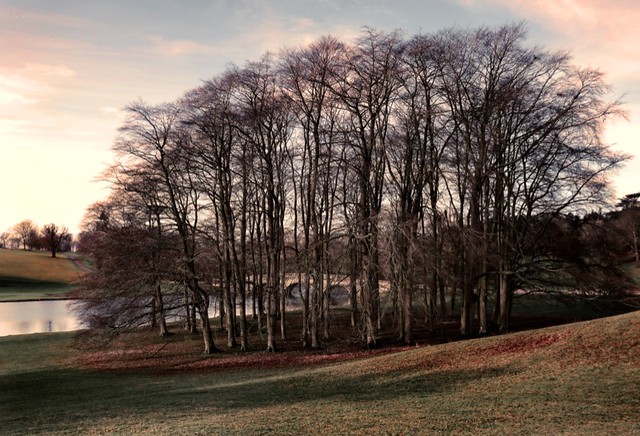 Blenhiem Park