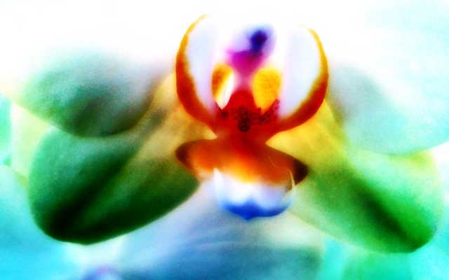 Minimalism in nature