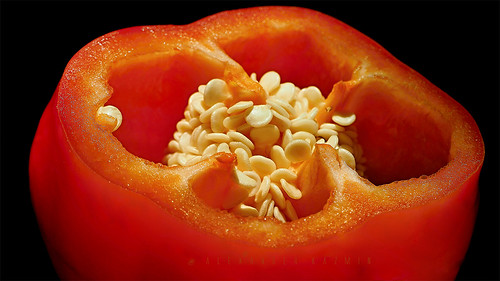Pepper2 PA131875 | by aoma2009