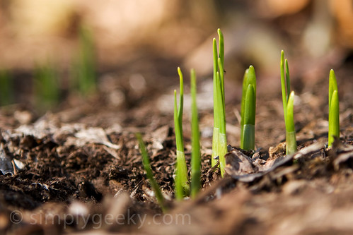 Ant's Eye View | by t.sullivan photography