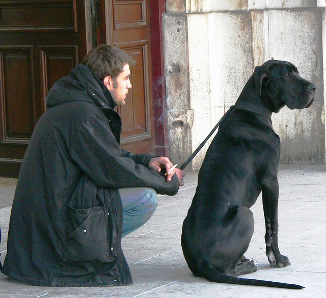 Bordeaux | good boys