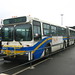 3019: 99 B-Line