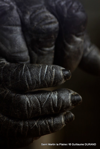 Gorilla's hands | by guillaumedurand photography