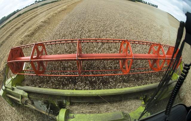 From the cab of a combine harvester August 2009