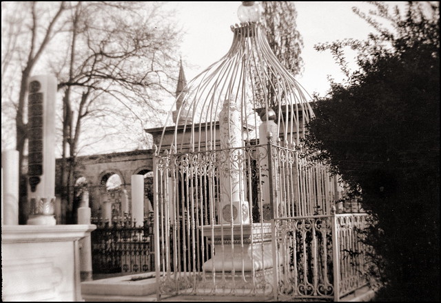Cemetary in Skutari (Üsküdar) 1903
