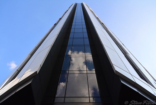 Look up! | by Steve Fitch