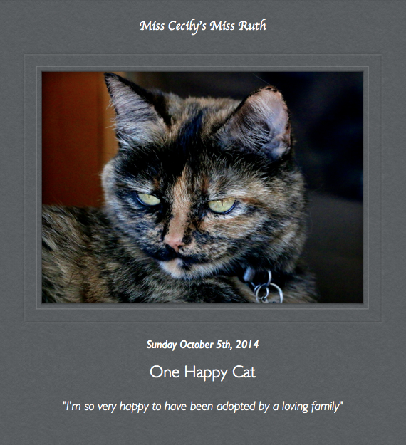 Miss Cecily's Miss Ruth