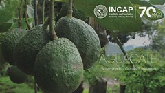 Día Mundial de la Alimentación 2019