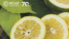 Día Mundial de la Alimentación 2019