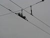 Trolley Overhead Test Diode No-Bo