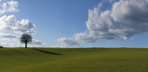 Spring Has Sprung | by wentloog