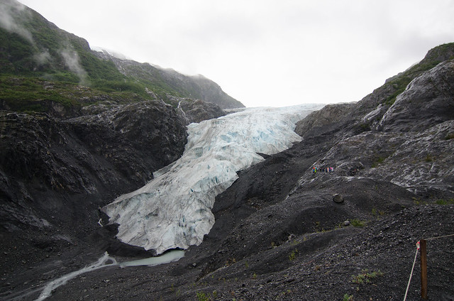 ExitGlacier_KenaiFjordNP (2 of 63)