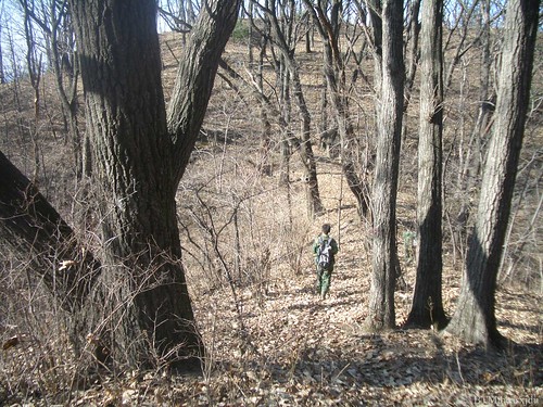 Mon, 12/01/2008 - 13:57 - BTMxjduforest11