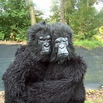 2005 herfstkamp