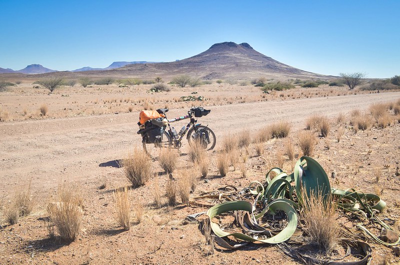 Day575-Bike-140601
