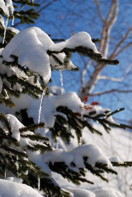 frozen