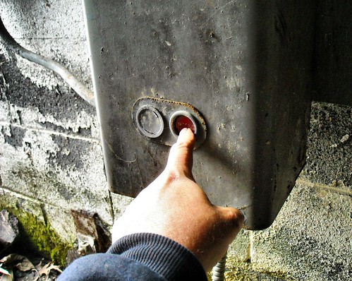 Panic Button | by In Memoriam BACKYard Woods Explorer