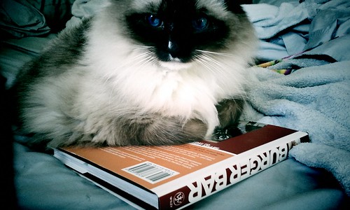 He's Been Studying | by revrev