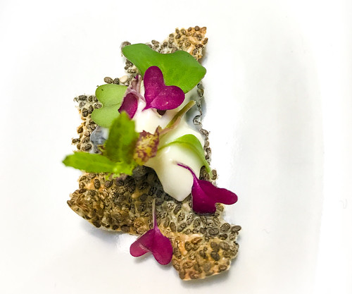 Chia seeds, stracchino and microgreens