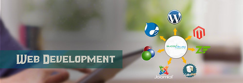 Get #Web #Development #Services from top development #company! | by Siliconinfo