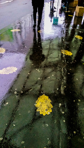 2017-12-21 – Reflets (Alan Stivell) | by Robert - Photo du jour