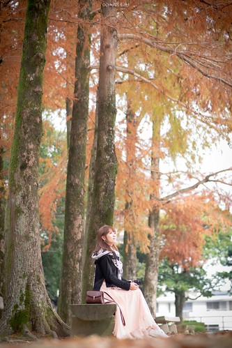 PB265551 | by YEH-DODO