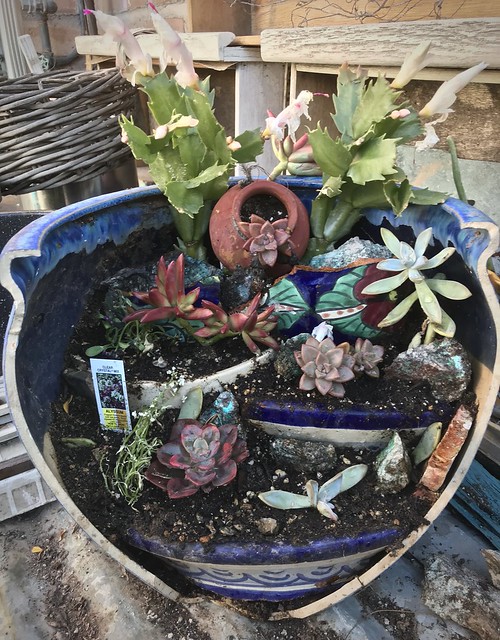Potting Shed Broken Flowerpot Repairs - Tikun Olam