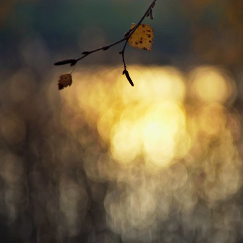 Sunset | by Stefano Rugolo