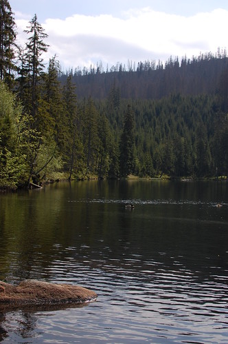 Prášilské jezero Prášilské jezero