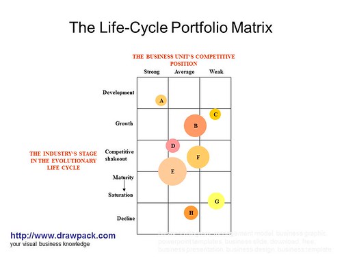 The Life-Cycle Portfolio Matrix diagram | by drawpack