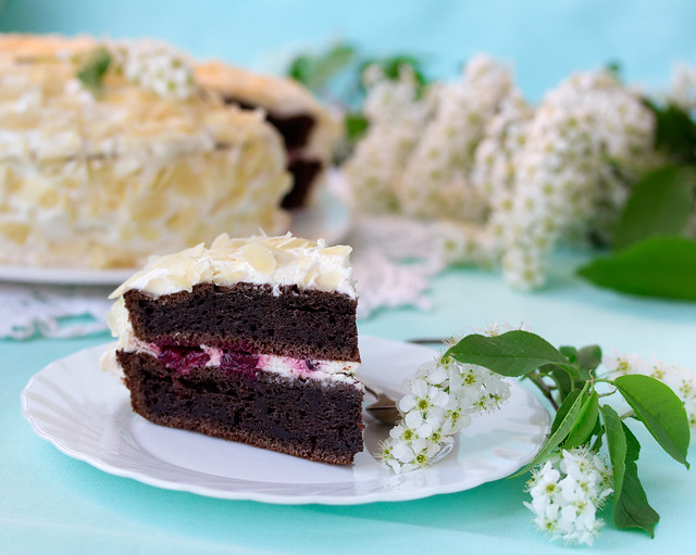 Bird-cherry flour homemade cake with cherries.
