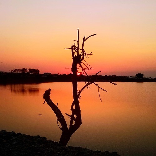 Enjoy the sunset time.. 😉 #nature #picoftheday #thelumians #geonusantara #windowshive #KerenGan #mthr_world #splendid_earth #instanusantara #princely_shotz #awesome_earthpix #lumia #igglobalclubhdr #RoamThePlanet #igglobalclub #naturelover_gr #earthf | by andi_mad