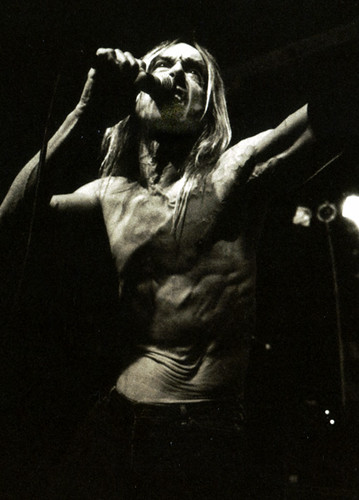 iggy | by dockmaster