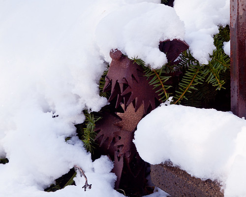 Snow. Really. | by Peter E. Lee