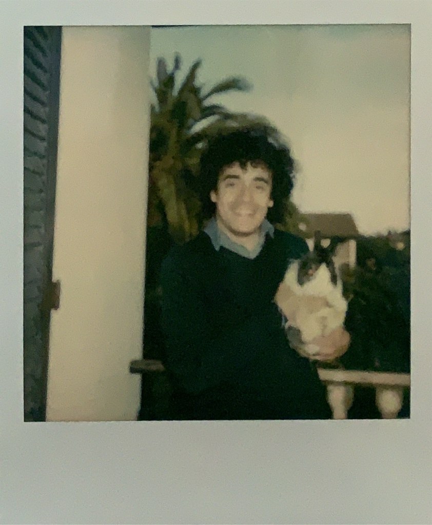 Polaroid