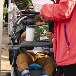 Baby reading the Explorer's Guide | © Robin Mair