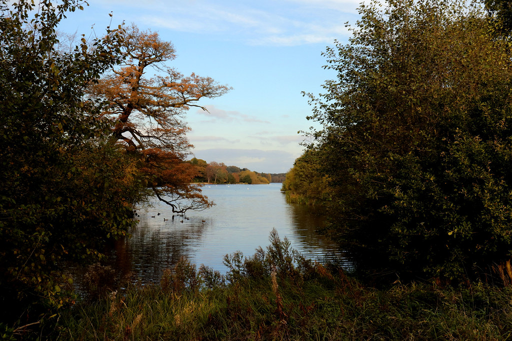 Autum surrounds Clumber Park lake