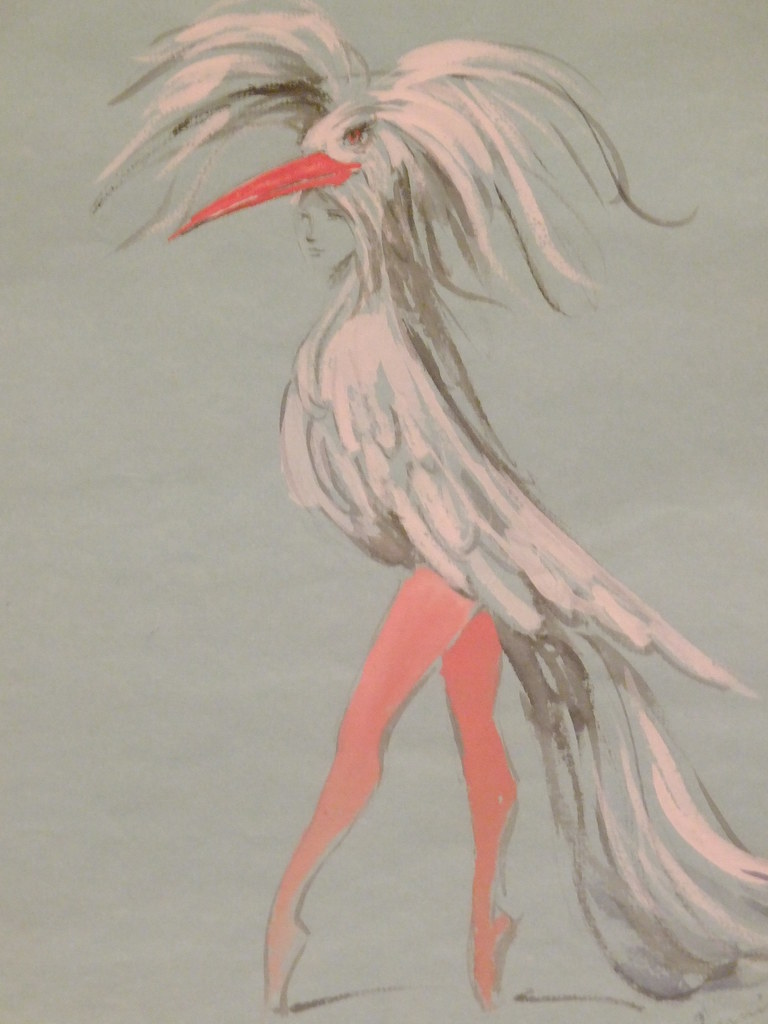Stork