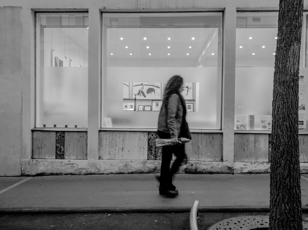 2020-01-18 - Samedi - 18/366 - Galerie des pas perdus - (Pierre Rapsat)