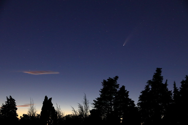 Neowise in the sky