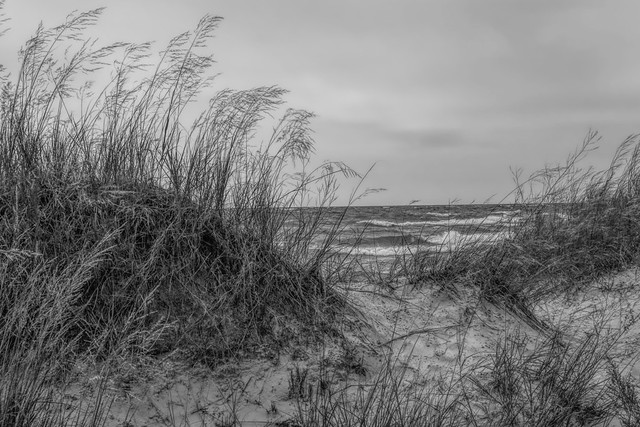 on the shores of Lake Huron. Sauble Beach Dunes