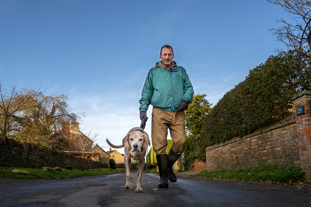 100 strangers, 100 dogs