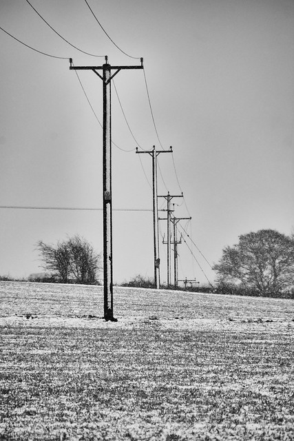 Power line
