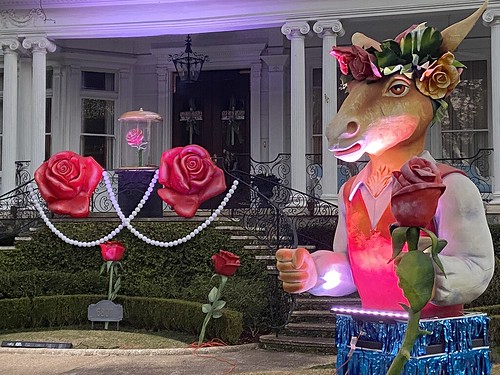 Roses on St Charles