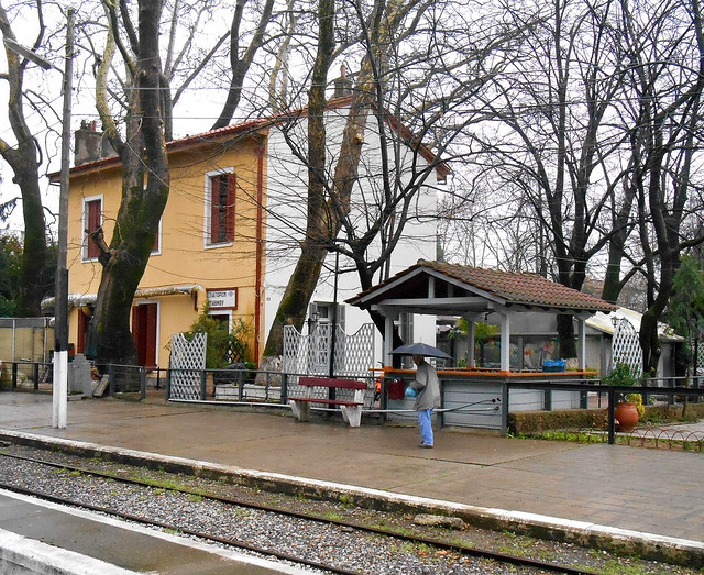 Μόνος στη βροχή / Alone in the rain