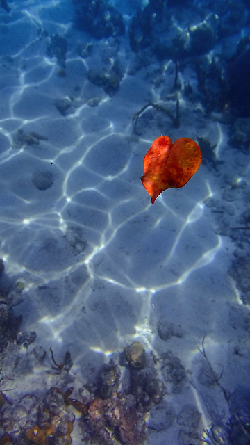 Red Heart in the Deep Blue Sea (LJ 3)