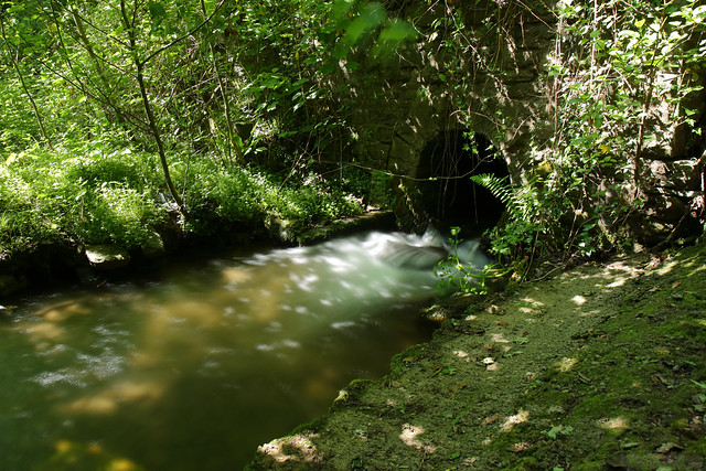 Nant y Bwch Stream